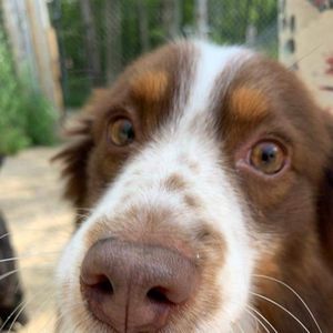 Meet your Posher, April